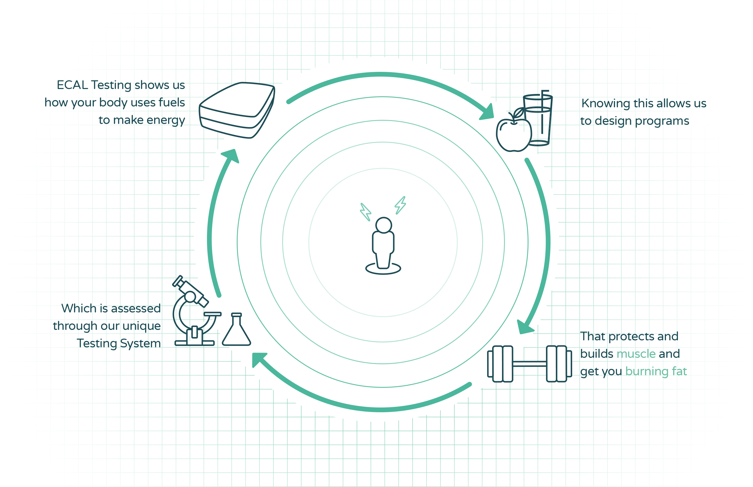 home-infographic-cropped