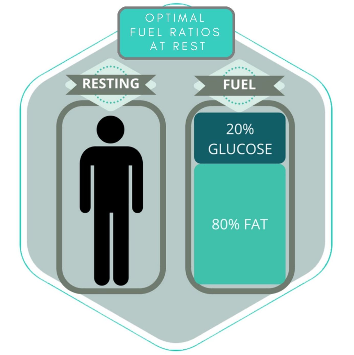 The science behind burning fat! Metabolic Health Solutions